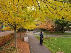 ../2015/10/25-1413-leaf-autumn.jpg