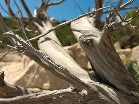 ../2016/05/16-1223-beach-stiniva-vis-HRV-island.jpg