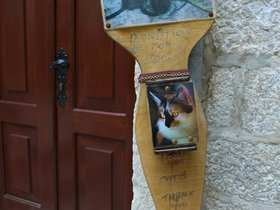 ../2016/05/20-1345-sign-dubrovnik-HRV-cat.jpg