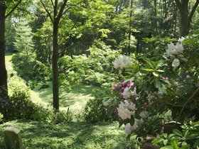 ../2016/06/04-1017-cemetery-mt_auburn-MA.jpg