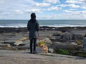 ../2016/10/23-1414-fort_williams-portland_ME-dog-ft_williams-ME-casper-nora.jpg