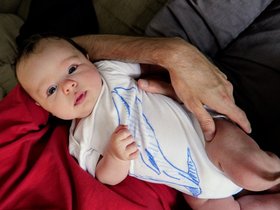 01-1242-dominic.jpg