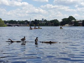../2017/07/16-1521-charles_river-MA.jpg