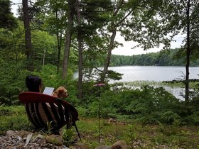 27-1451-mount_william_pond-nora-NH.jpg