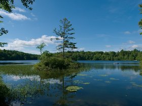 28-0913-mount_william_pond-NH.jpg