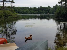 28-1717-mount_william_pond-NH.jpg