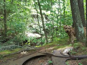 29-1225-pulpit_rock-dog-park-NH-casper.jpg