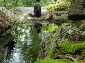 29-1237-pulpit_rock-nora-park-NH.jpg