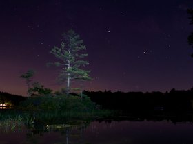 29-2222-tree-mount_william_pond-night-NH.jpg