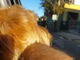 23-1647-casper-riding.mp4