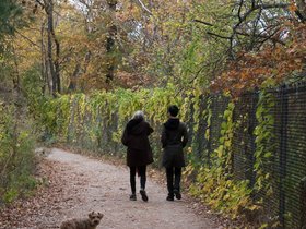 ../2017/11/05-1545-casper-monika-fresh_pond-MA-nora-dog.jpg