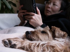 ../2017/11/23-1330-casper-nora-dog-sleeping.jpg