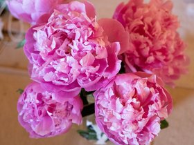 11-1240-flower.jpg