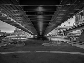 13-1124-zakim-bw.jpg