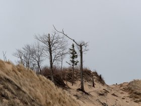 ../2018/12/28-1348-beach-holland_MI.jpg