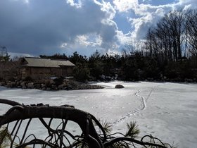 ../2019/03/17-1643-garden-holland_MI.jpg