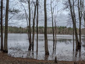 ../2019/04/21-1140-hodges_village_dam-MA-woods-worcester.jpg