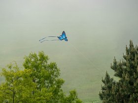 ../2019/06/01-1310-harbor-boston-MA-kite-spectacle_island.jpg