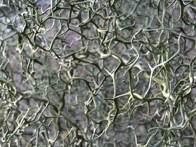 27-1534-arboretum-raleigh_NC.jpg