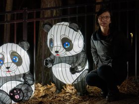 27-2010-lantern_festival-raleigh_NC-nora.jpg