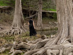 ../2020/03/03-1422-austin-TX-mckinney_falls-tree.jpg