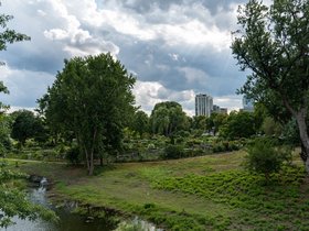 ../2020/08/09-1624-fens-boston-MA-garden.jpg