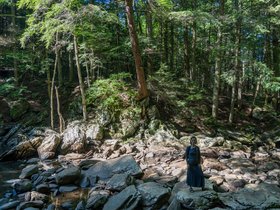 ../2020/08/17-1011-berkshires-MA-waterfall-wahconah-nora.jpg