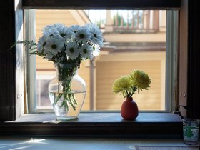17-0738-flower-window.jpg