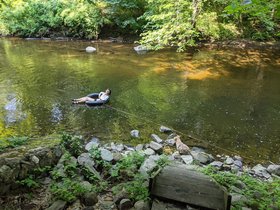 26-1536-CT-stream-nora.jpg