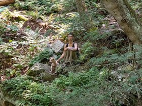 ../2021/07/27-1320-saugatuck_falls-CT-casper-nora-dog.jpg