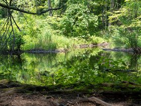 27-1411-saugatuck_falls-CT.jpg