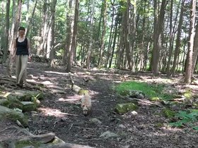 27-1427-saugatuck-falls-CT.mp4