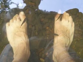 27-1732-CT-steam-feet-fish.mp4
