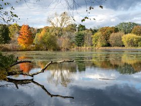 ../2021/10/31-1416-fresh_pond-MA-autumn.jpg