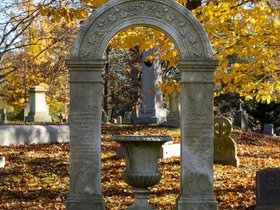 ../2021/11/13-1419-mt_auburn-MA-autumn-tree-cemetery.jpg
