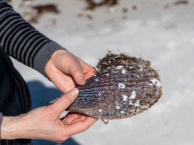 ../2022/03/14-1104-clearwater-FL.jpg