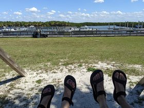 ../2022/03/14-1248-park-caladesi-FL-clearwater.jpg
