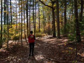 ../2022/10/30-1334-casper-nora-autumn-dog-middlesex_fells-MA.jpg