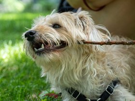 25-1331-fresh_pond-MA-nixie.jpg