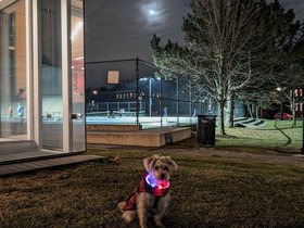 25-1840-nixie-night.jpg