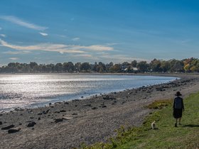 ../2024/10/12-1534-nora-nixie-carson_beach-MA.jpg