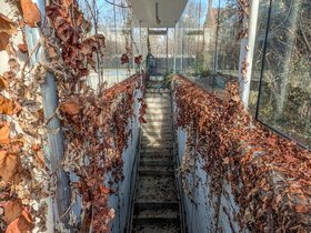 ../2024/12/08-1310-autumn-building-leaf-stairs.jpg