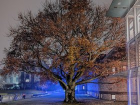 cambridge (126)