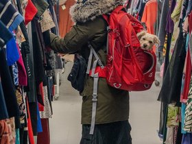 09-1300-newport_RI-shopping-nora-nixie.jpg
