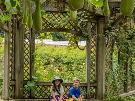 ../2025/08/12-1141-cecilia-dominic-biltmore-NC-asheville_1.jpg