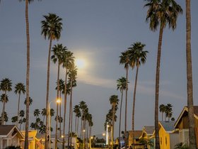 ../2026/03/02-1855-AZ-street.jpg