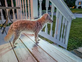 20-2057-baltimore-MD-nixie.jpg