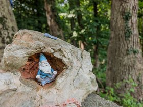 22-1046-garden-baltimore-MD-zen.jpg
